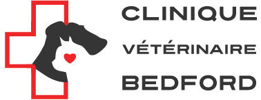Clinique vétérinaire Bedford: Votre vétérinaire à Bedford, Québec
